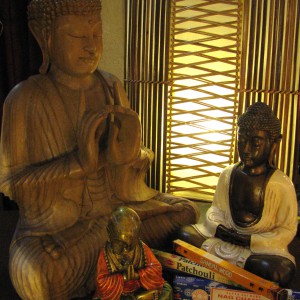 5-ZEN 5-ZEN